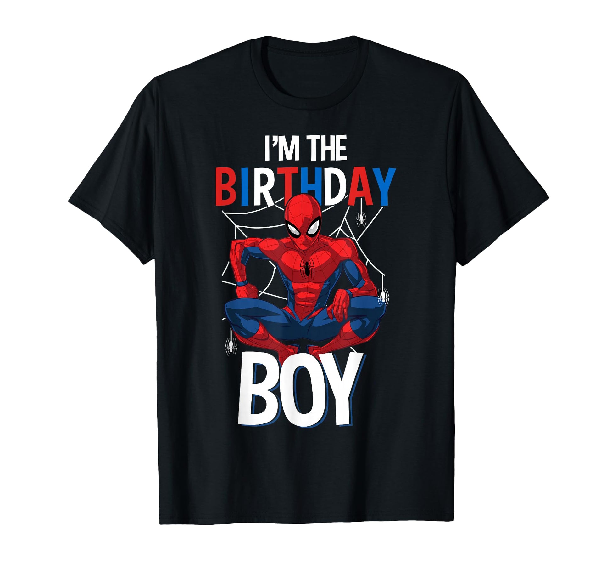 Birthday Boy Gift Shirt  Classic Web Hero Celebration Tee - T-Shirt, Sweatshirt, Hoodie
