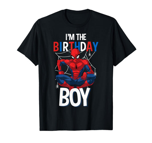 Birthday Boy Gift Shirt  Classic Web Hero Celebration Tee - T-Shirt, Sweatshirt, Hoodie