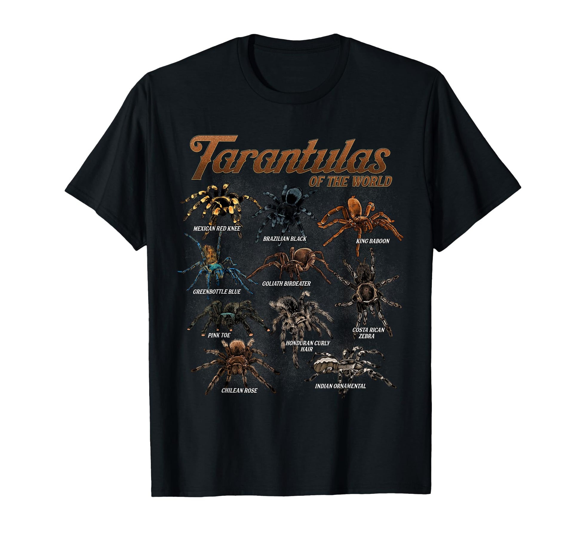 Tarantula Lover Apparel  Arachnid Pet Spider Graphic Tee - T-Shirt, Sweatshirt, Hoodie