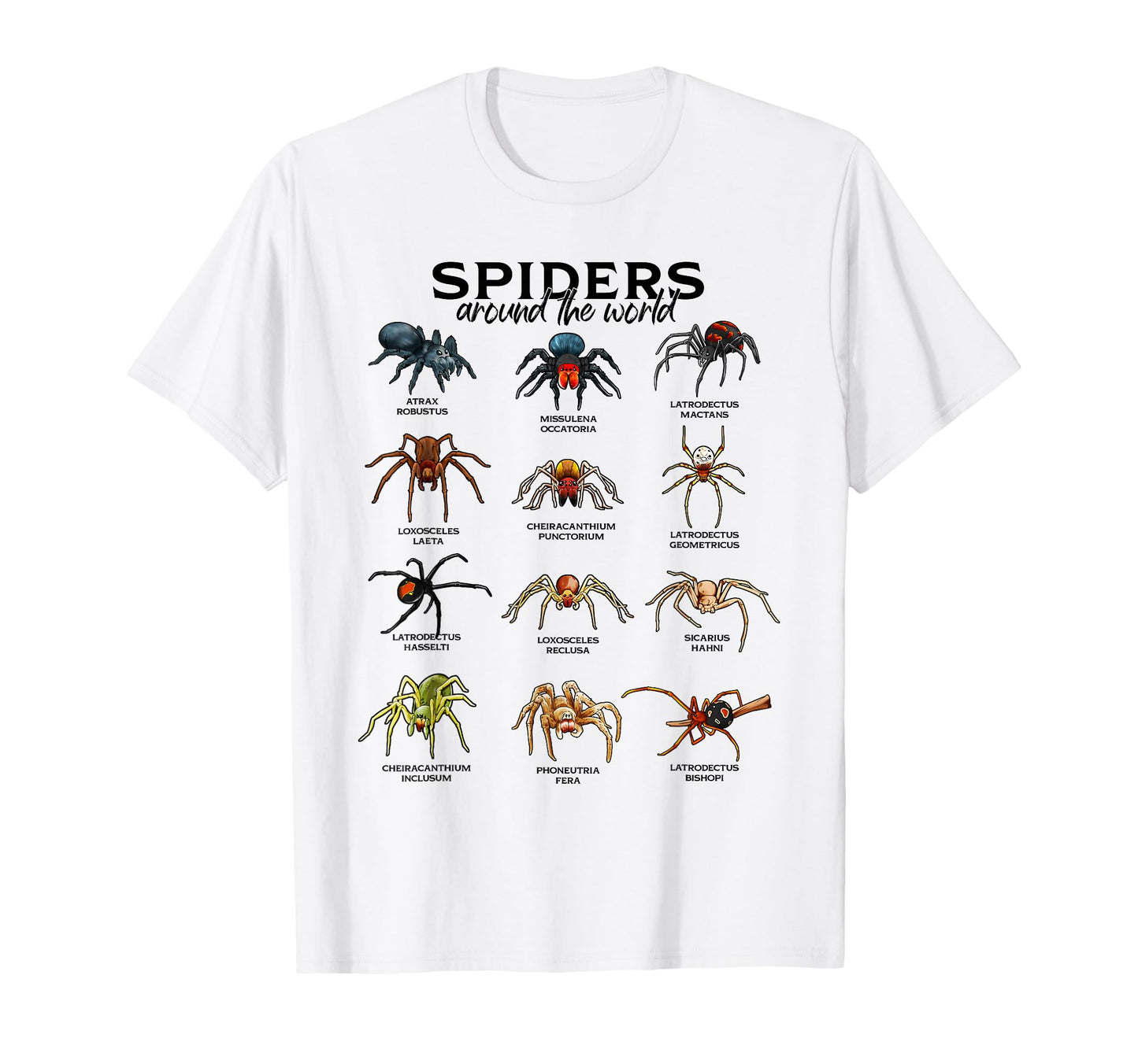 Nature Lover Apparel  Spiders Around The World Graphic Tee - T-Shirt, Sweatshirt, Hoodie