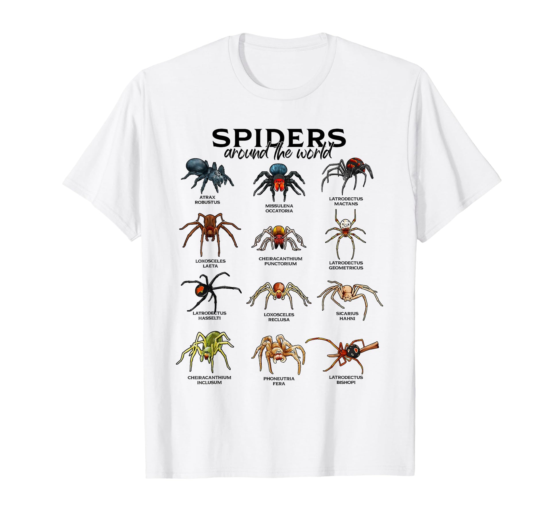 Nature Lover Apparel  Spiders Around The World Graphic Tee - T-Shirt, Sweatshirt, Hoodie