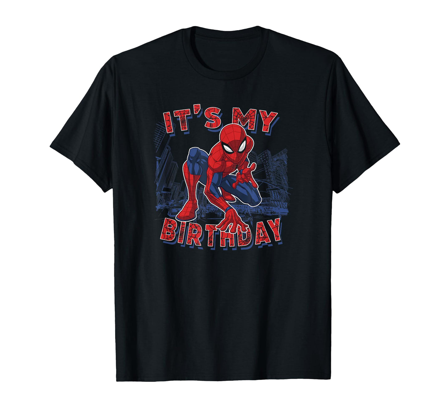 Birthday Boy Apparel  Classic Web Hero Graphic Tee - T-Shirt, Sweatshirt, Hoodie