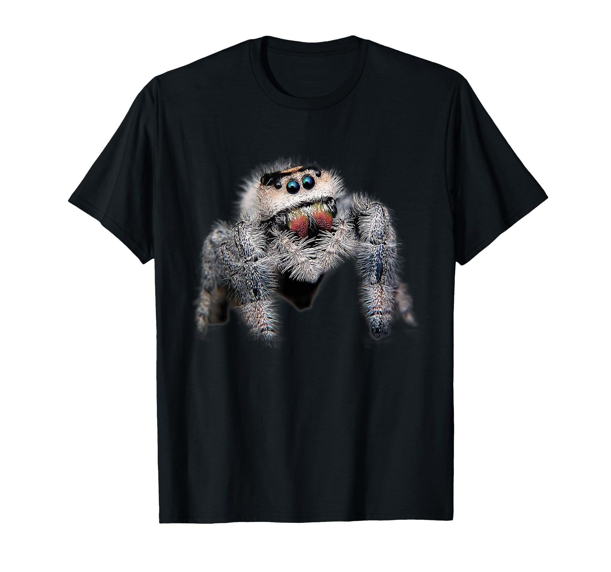 Pet Spider Lover Gift  Cute Arachnid Salticidae Graphic Tee - T-Shirt, Sweatshirt, Hoodie