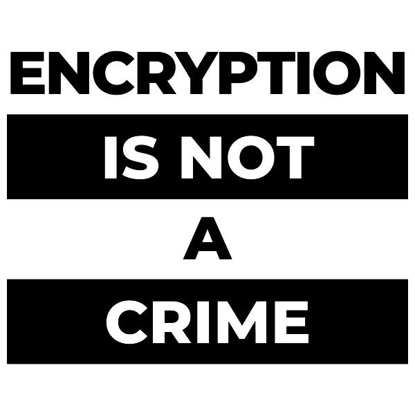 Encryption Is Not A Crime Black Print - Adult & Kids T-Shirts, Sweatshirts & Hoodies apparel design preview 1
